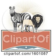 Poster, Art Print Of Zebra And Male Lion Over A Frame