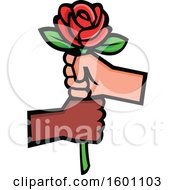 Clipart Of A Rose Being Held By White And Black Hands Royalty Free Vector Illustration