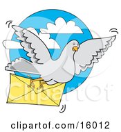 Gray Pigeon Carrying A Letter In An Envelope
