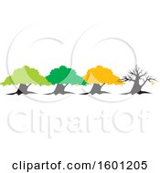 Poster, Art Print Of Row Of Four Seasons Trees For Spring Summer Fall And Winter