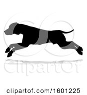 Poster, Art Print Of Silhouetted Dog With A Reflection Or Shadow On A White Background