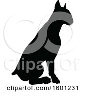 Silhouetted Sitting Bull Terrier Dog