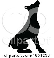Poster, Art Print Of Silhouetted Dobermann Dog