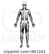 Poster, Art Print Of Black And White Human Skeleton