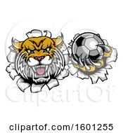 Poster, Art Print Of Vicious Wildcat Mascot Breaking Through A Wall With A Soccer Ball
