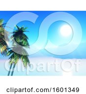 Poster, Art Print Of 3d Tropical Sunny Landscape With Palm Trees