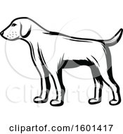 Clipart Of A Black And White Hunting Dog Royalty Free Vector Illustration