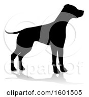 Poster, Art Print Of Silhouetted Dog With A Reflection Or Shadow On A White Background