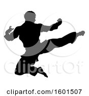 Silhouetted Martial Artist Kicking