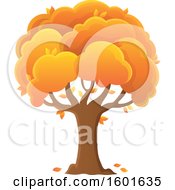 Clipart Of A Tree With An Orange Autumn Canopy Royalty Free Vector Illustration
