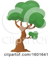 Poster, Art Print Of Tree With A Green Canopy