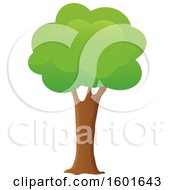 Clipart Of A Tree With A Green Canopy Royalty Free Vector Illustration