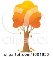 Poster, Art Print Of Tree With An Orange Autumn Canopy