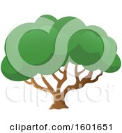 Clipart Of A Tree With A Green Canopy Royalty Free Vector Illustration