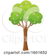 Clipart Of A Blossoming Spring Tree Royalty Free Vector Illustration