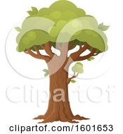 Poster, Art Print Of Tree With A Green Canopy