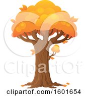 Clipart Of A Tree With An Orange Autumn Canopy Royalty Free Vector Illustration