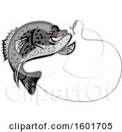 Poster, Art Print Of Jumping Black Crappie Fish Mascot Going For A Fishing Hook