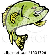 Jumping Tough Green Crappie Fish Mascot