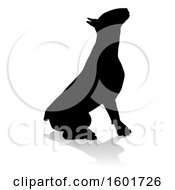 Clipart Of A Silhouetted Bull Terrier Dog With A Reflection Or Shadow On A White Background Royalty Free Vector Illustration