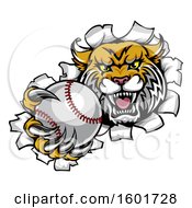 Poster, Art Print Of Vicious Wildcat Mascot Breaking Through A Wall With A Baseball