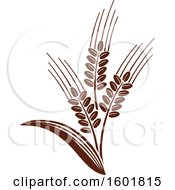 Poster, Art Print Of Brown Wheat Design