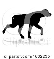 Poster, Art Print Of Silhouetted Labrador Dog With A Reflection Or Shadow On A White Background