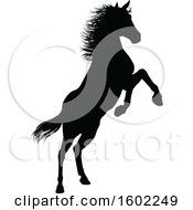 Poster, Art Print Of Black Silhouetted Horse Rearing