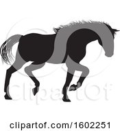 Poster, Art Print Of Black Silhouetted Horse