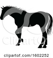 Clipart Of A Black Silhouetted Horse Royalty Free Vector Illustration
