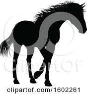Poster, Art Print Of Black Silhouetted Horse