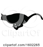 Poster, Art Print Of Black Silhouetted Cat Running