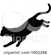 Poster, Art Print Of Black Silhouetted Cat Pouncing