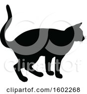 Poster, Art Print Of Black Silhouetted Cat