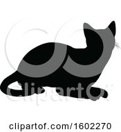 Poster, Art Print Of Black Silhouetted Cat