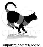 Poster, Art Print Of Silhouetted Cat With A Shadow Or Reflection On A White Background