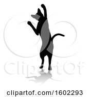 Poster, Art Print Of Silhouetted Cat With A Shadow Or Reflection On A White Background