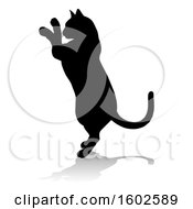 Clipart Of A Silhouetted Cat With A Shadow Or Reflection On A White Background Royalty Free Vector Illustration