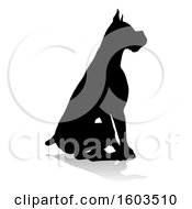 Silhouetted Boxer Dog With A Reflection Or Shadow On A White Background