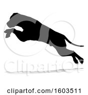Poster, Art Print Of Silhouetted Mastiff Dog Jumping With A Reflection Or Shadow On A White Background