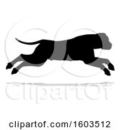 Poster, Art Print Of Silhouetted Mastiff Dog With A Reflection Or Shadow On A White Background