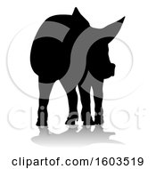 Poster, Art Print Of Silhouetted Pig With A Reflection Or Shadow On A White Background