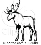 Clipart Of A Moose In Black And White Royalty Free Vector Illustration by Vector Tradition SM