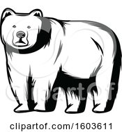 Poster, Art Print Of Bear In Black And White