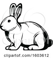 Poster, Art Print Of Rabbit In Black And White
