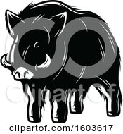 Poster, Art Print Of Wild Boar In Black And White