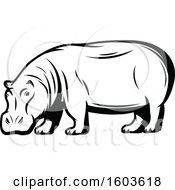 Poster, Art Print Of Hippopotamus In Black And White