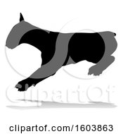 Silhouetted Bull Terrier Dog With A Reflection Or Shadow On A White Background