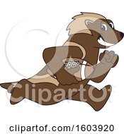 Poster, Art Print Of Wolverine School Mascot Character Running With A Football