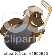 Wolverine School Mascot Character Holding A Hockey Puck And Stick